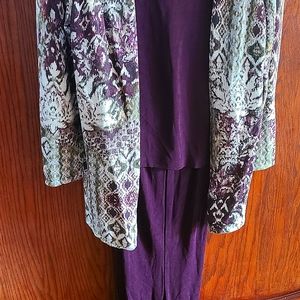 Chicos Travelers set...great for the cool evenings